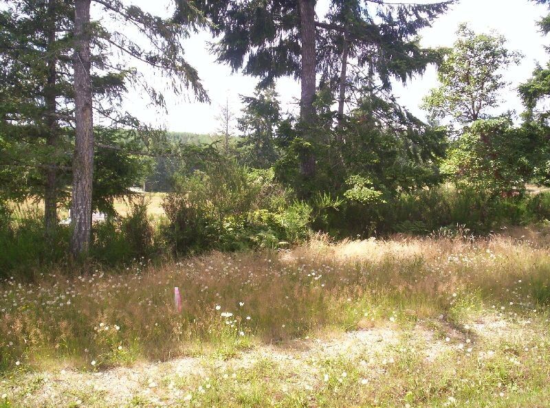 Property Photo:  590 E Soderberg Rd  WA 98524 