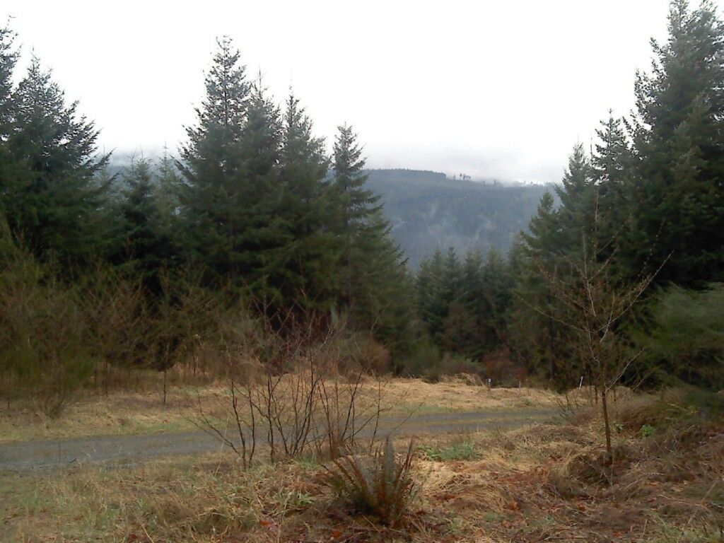 Property Photo: 3795 E Quilcene Road WA 98376