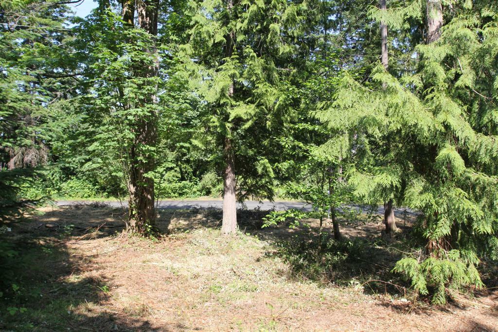 Property Photo:  4lot Cox Lane  WA 98221 