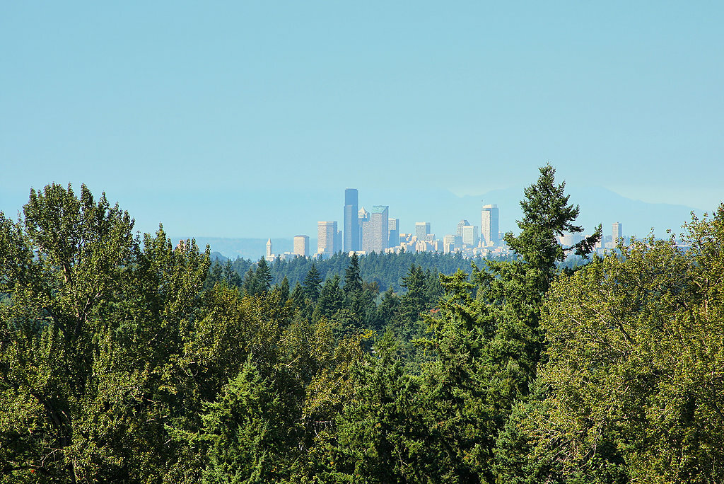 Property Photo:  13827 SE 79th Dr  WA 98059 