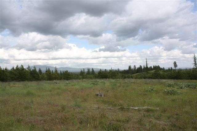 Property Photo:  29724 N Konzal Ln  WA 99006 