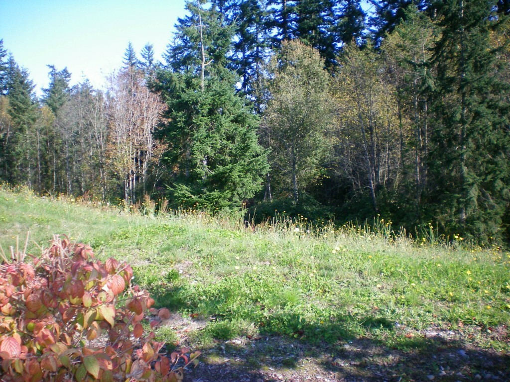 Property Photo:  9999lot 45 St Moritz Ct  WA 98282 