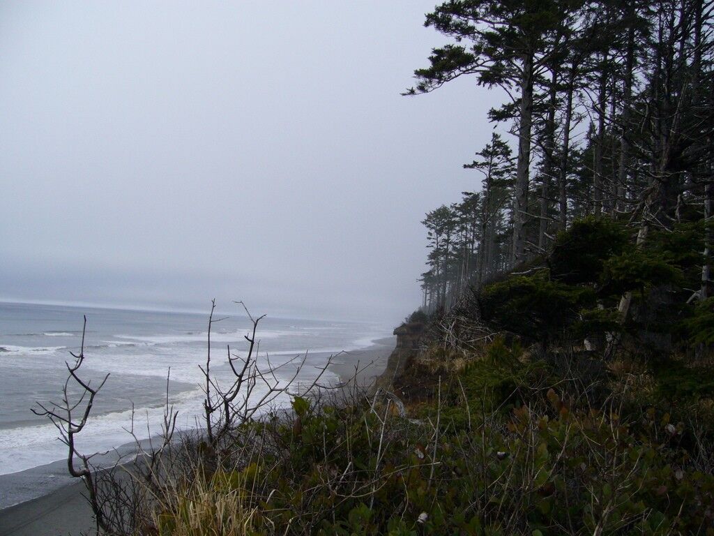 Property Photo: 999 Cape Elizabeth Rd WA 98526