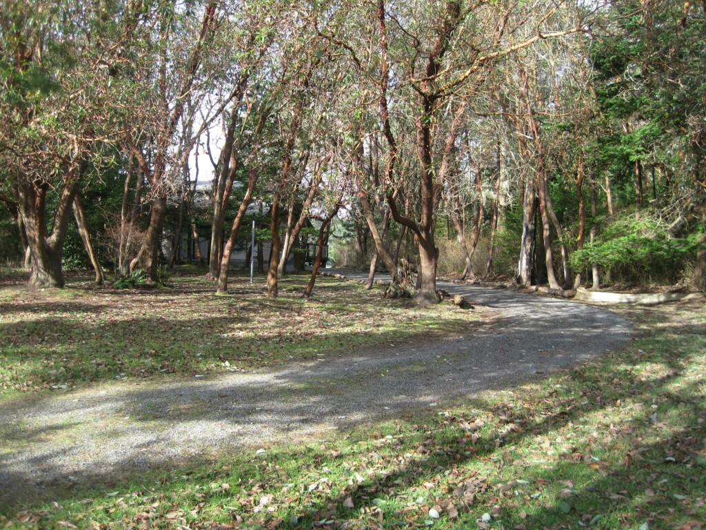 Property Photo: 179 Cape Dr WA 98250