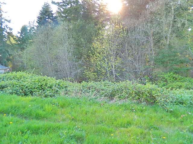 Property Photo:  0 Lot 35  98th Avenue Ct NW  WA 98329 