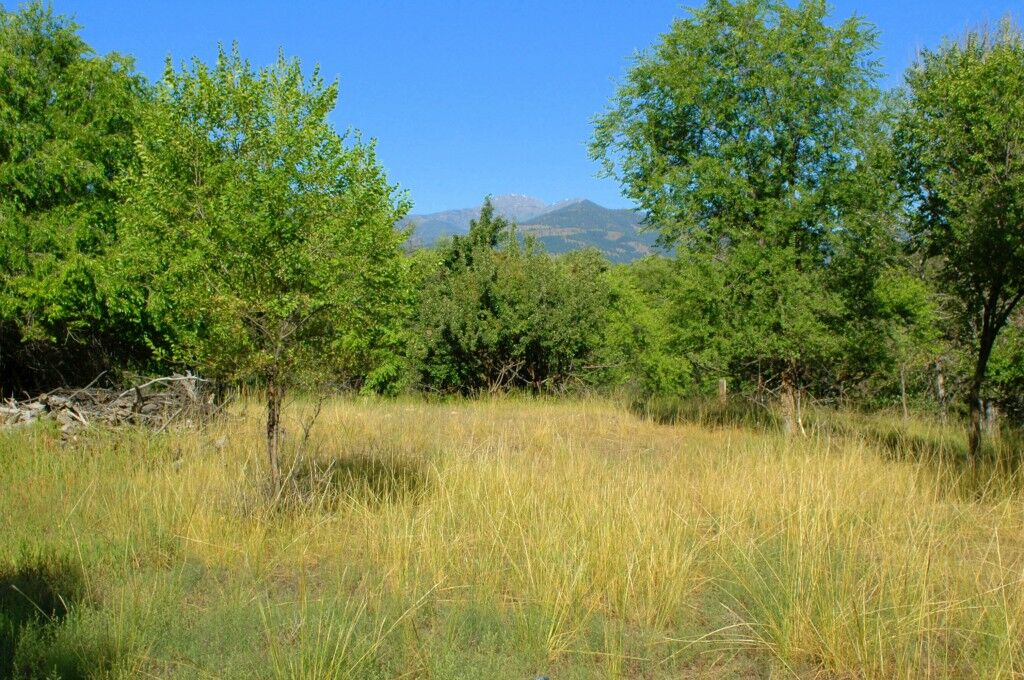 Property Photo:  0 Waring St  WA 98862 