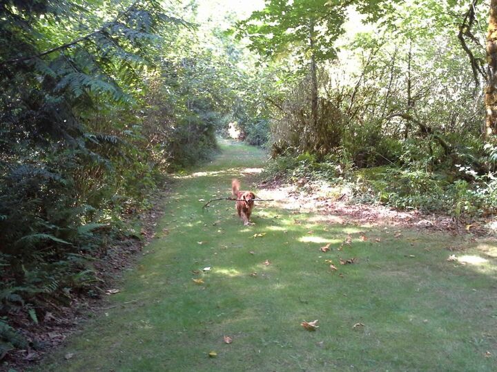 Property Photo: 0xxx Key Peninsula Hwy N WA 98349