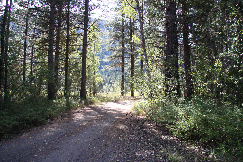 Property Photo:  0 Methow Ranch Rd  WA 98862 