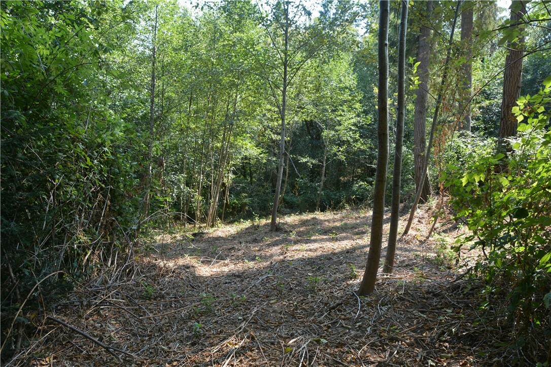 Property Photo: 2312 155th St NW WA 98332