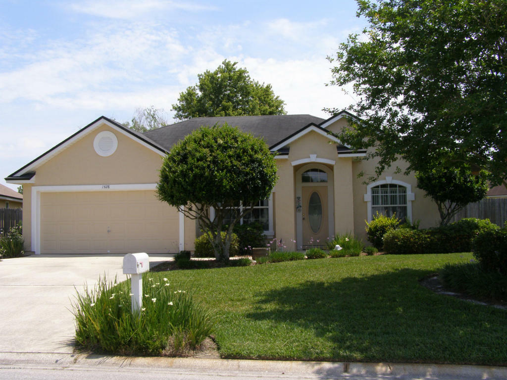 Property Photo:  1428 Dog Fennel Court  FL 32073 