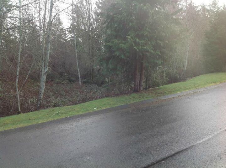 455 3rd Court Fi  Fox Island WA 98333 photo