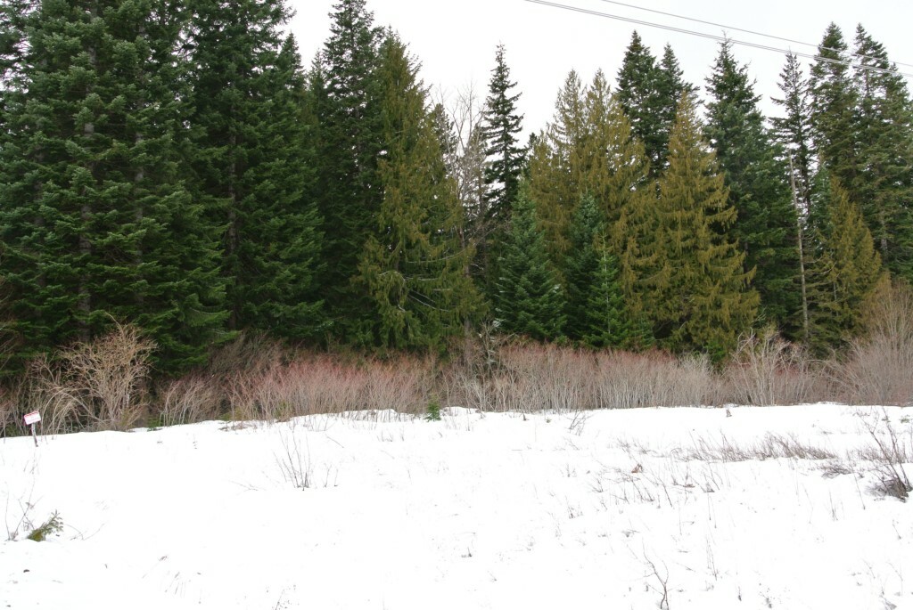 Property Photo:  13lot Iron Horse Rd  WA 98925 