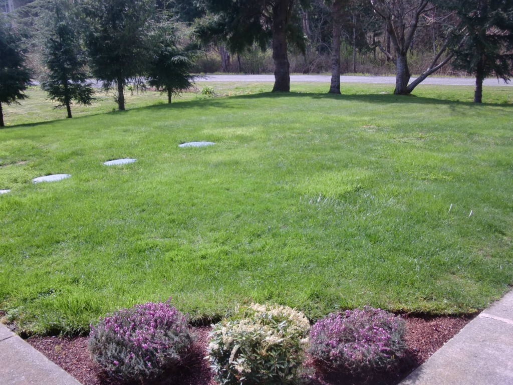 Property Photo:  9516 Harvey Road  WA 98230 