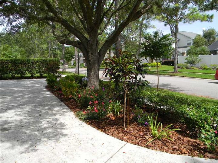 Property Photo: 9093 Quail Creek Drive FL 33647