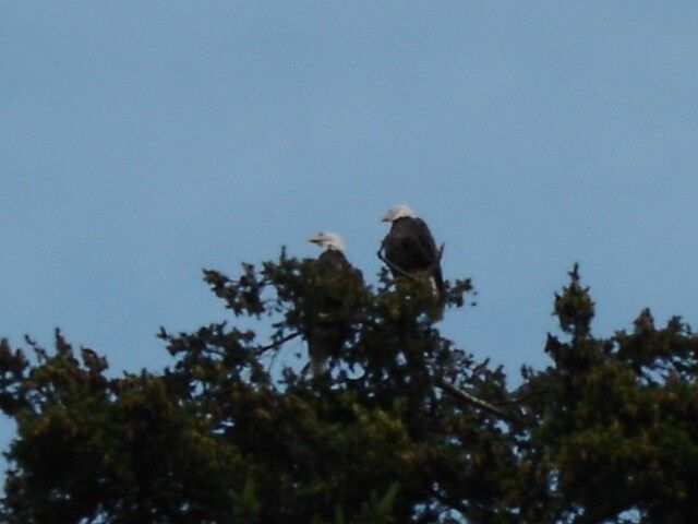 Property Photo: 7327 Hermosa Beach Rd WA 98271