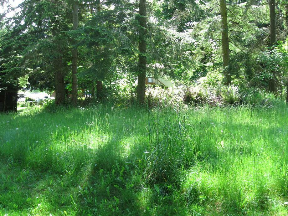 Property Photo: 0 Idlewood WA 98282