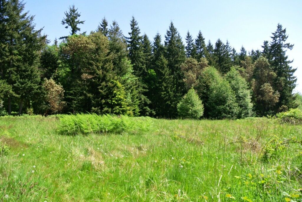 Property Photo:  26868 Sunnyview Lane NE  WA 98346 