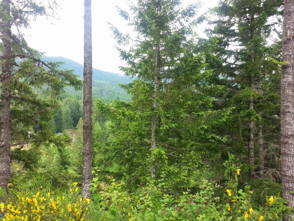 Property Photo:  0 Alpine Dr  WA 98361 