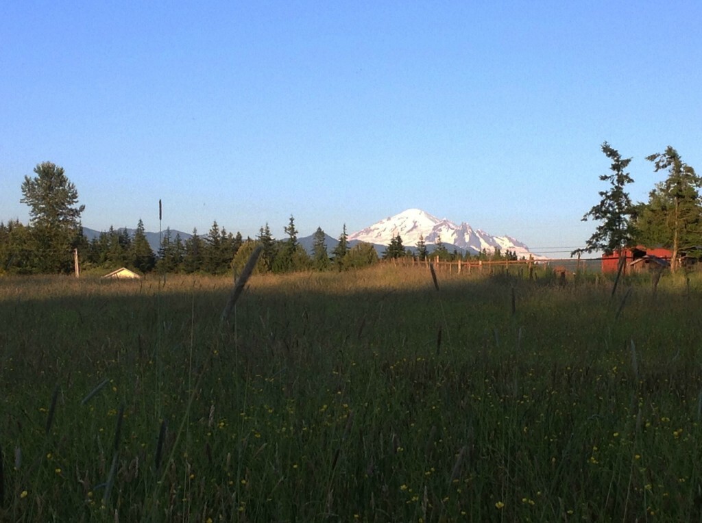 Property Photo: 5441 Noon Rd WA 98226