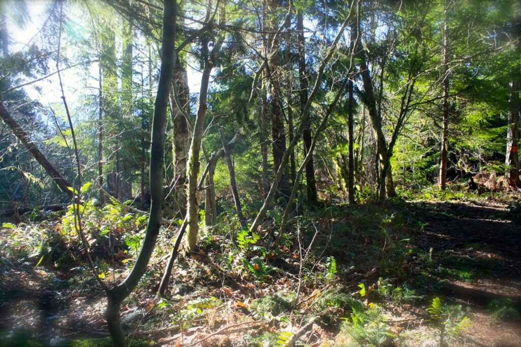 Property Photo: 0 Terrace Wy WA 98937