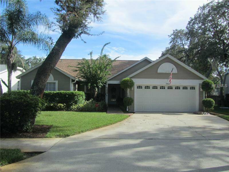 Property Photo:  1142 Silkwood Avenue  FL 34689 