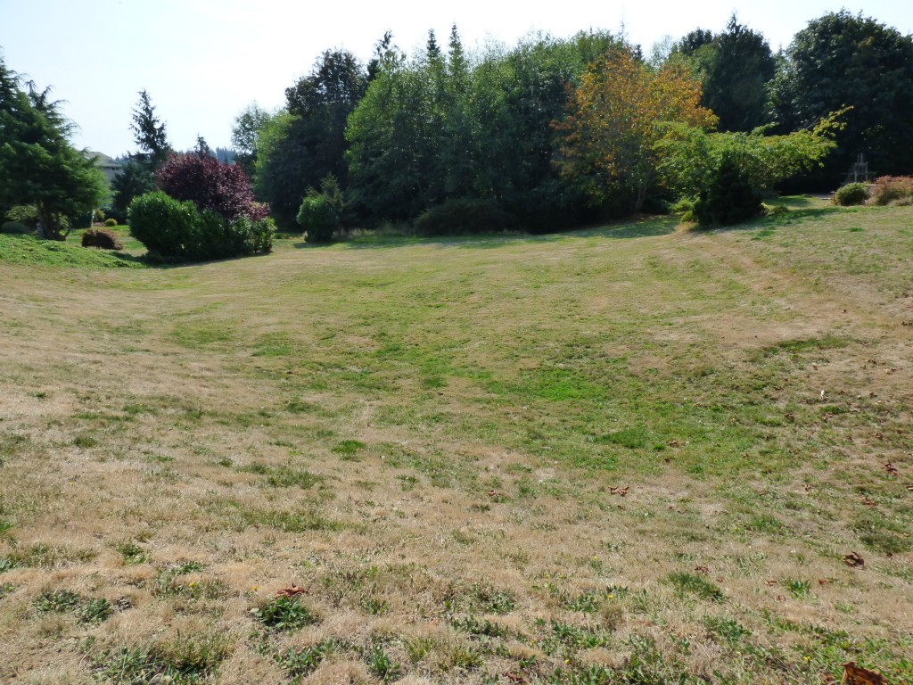 Property Photo: 0 Alta Via Drive WA 98282