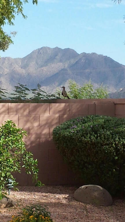 Property Photo: 3411 E Gleneagle Place AZ 85249