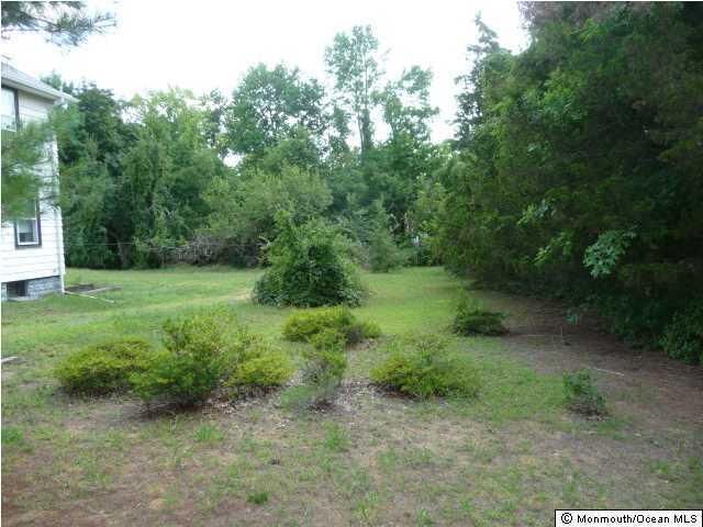 Property Photo: 0 Buckelew Avenue NJ 08831