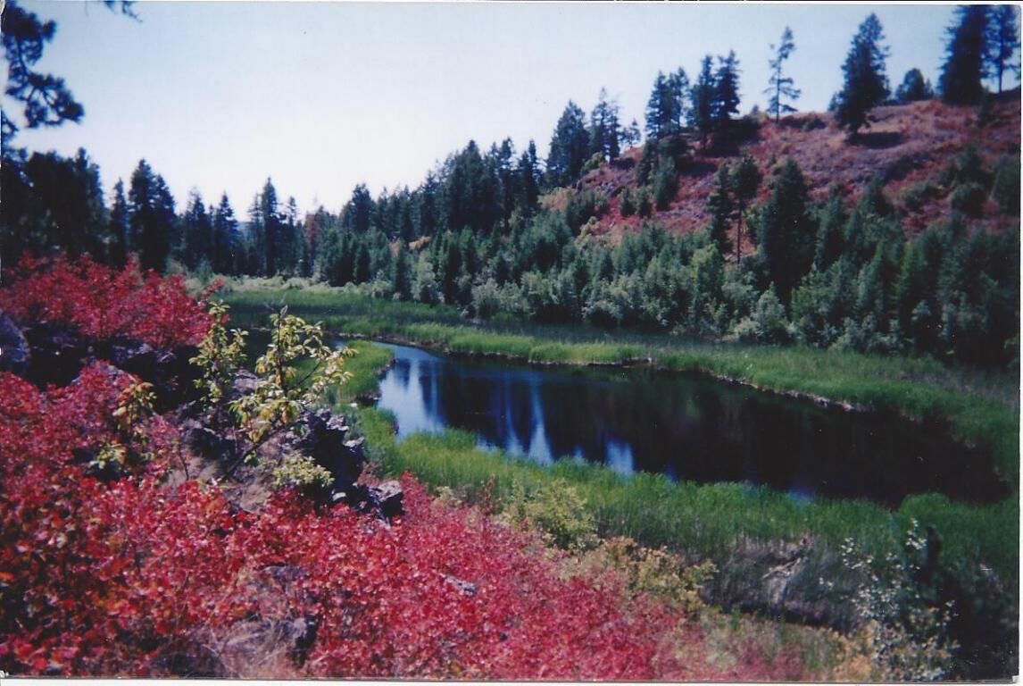 Property Photo: 2358 D Scott Rd WA 99167
