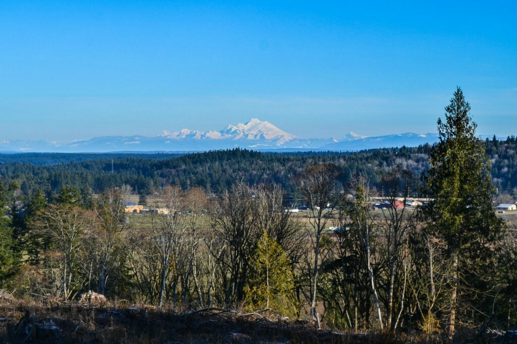 Property Photo:  215 Van Trojen Rd  WA 98325 