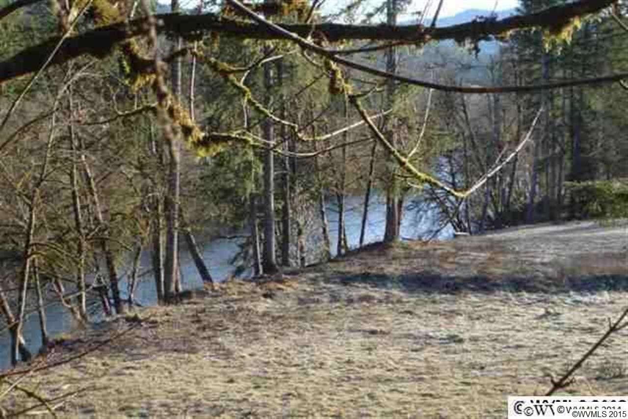 Property Photo:  * Rio Vista Ln Lot 1  OR 97360 