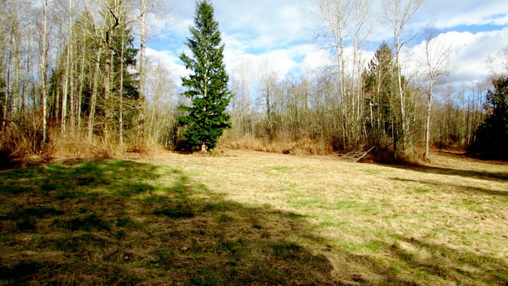 Property Photo: 6 Thomas Creek Dr WA 98284