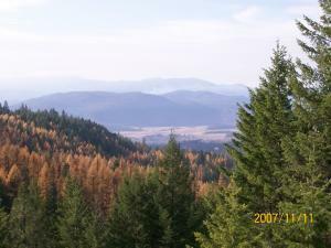 Property Photo:  2500-2541 Flowery Trail Rd  WA 99109 