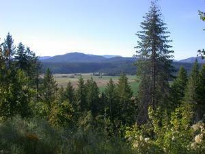 Lot 10 Palmer Loop  Chewelah WA 99109 photo