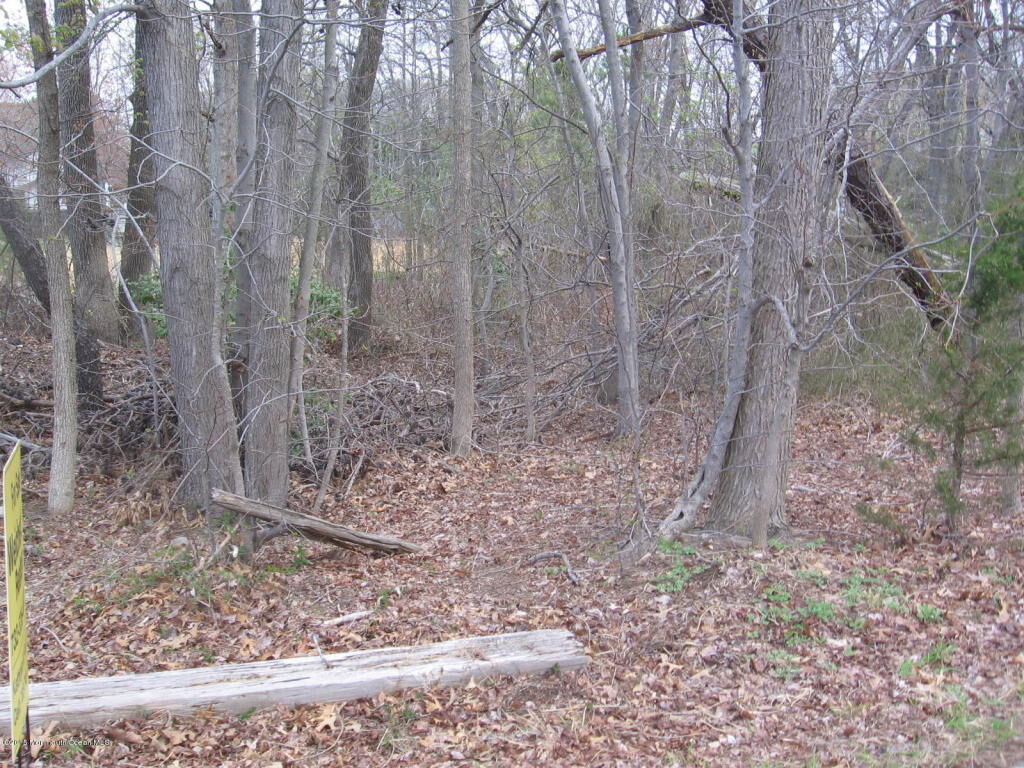 Property Photo:  8 Clayton Lane  NJ 07726 