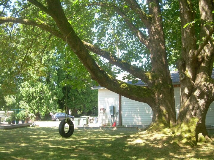 Property Photo: 3820 Brown Rd WA 98248