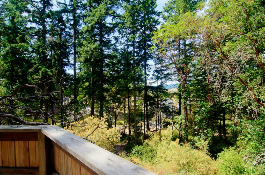 Property Photo:  6 Tree House Place  WA 98250 