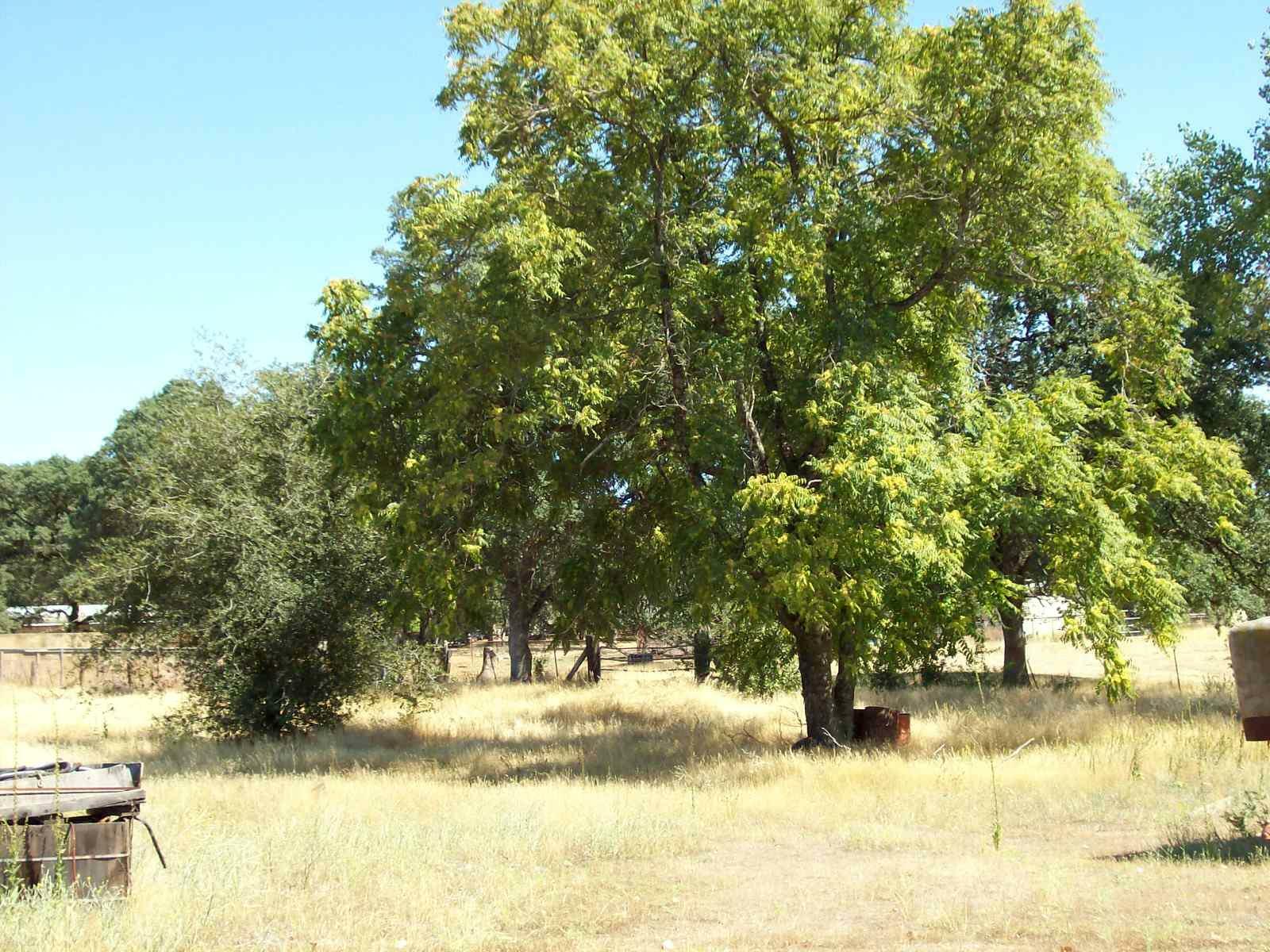 Property Photo:  19140 Adams Rd  CA 96022 