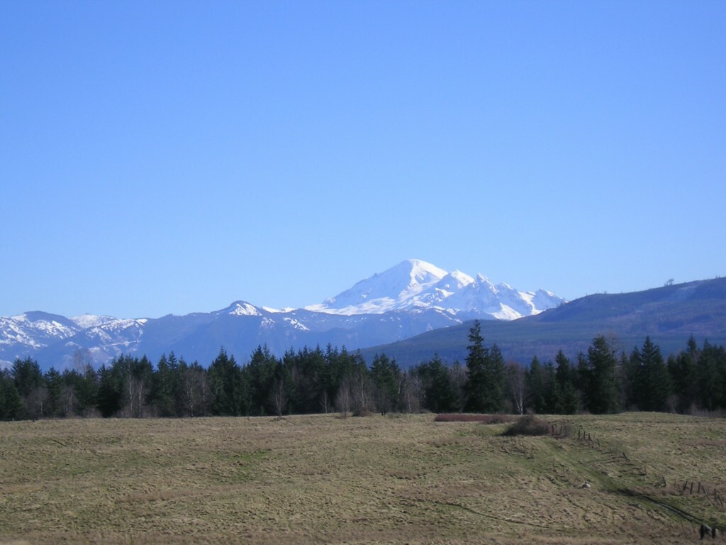 Property Photo:  5142 Noon Rd  WA 98226 