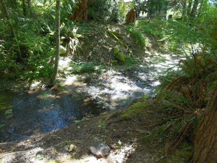 Property Photo: 110 Timber Lane WA 98588