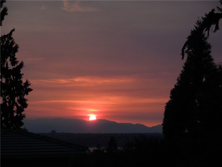 Property Photo:  9803 NE 30th St  WA 98004 