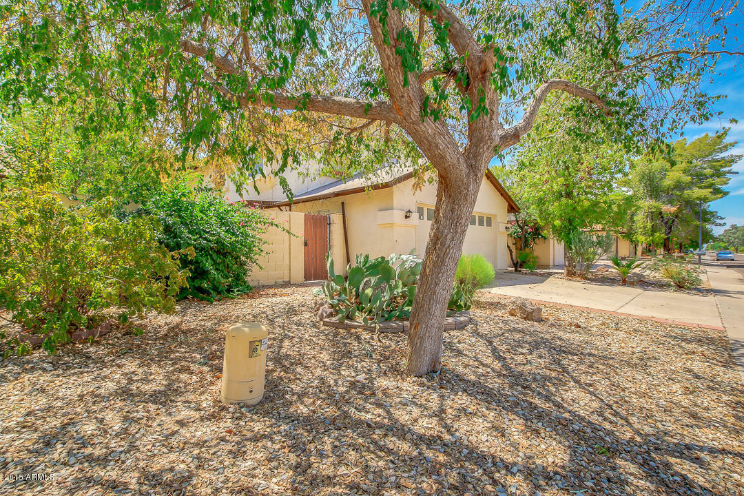 Property Photo:  3713 W Tierra Buena Lane  AZ 85053 