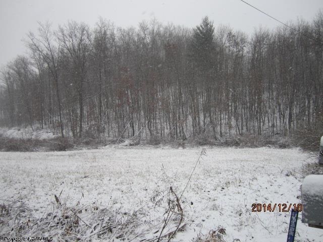 Property Photo: 00 Wilmoth Road WV 26283