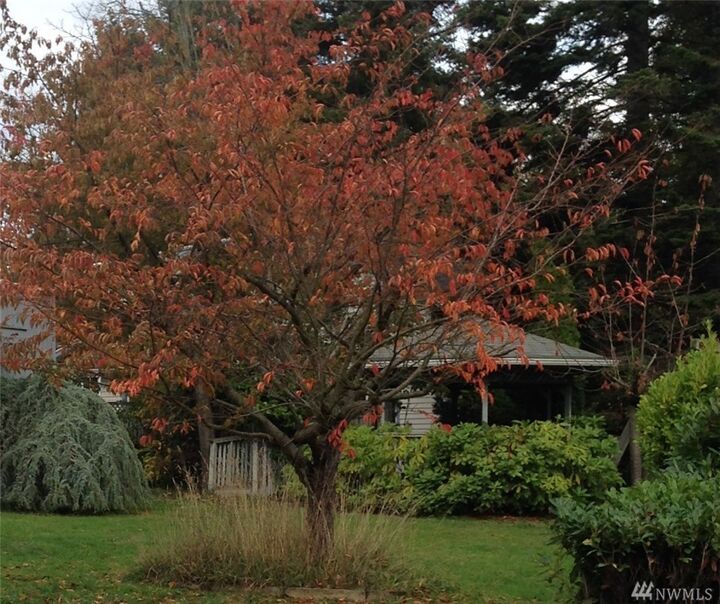 Property Photo:  1208 NW 100th Street  WA 98177 
