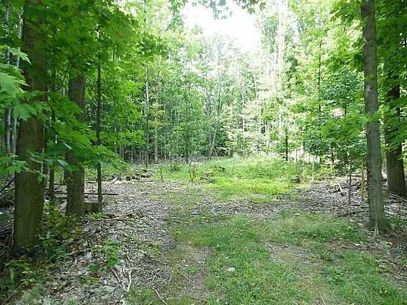 Property Photo:  0 Bear Creek Road  PA 16415 
