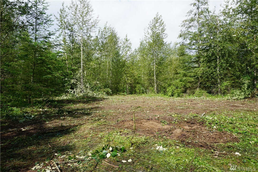 2020 394th St S  Roy WA 98580 photo