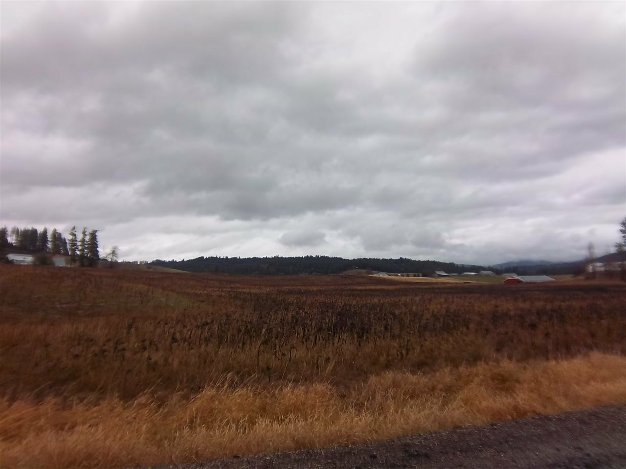 Property Photo: 11307 E Heglar Rd WA 99021