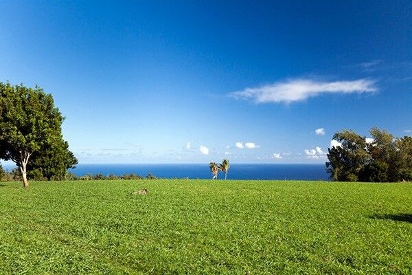 Property Photo:  54-594 Kapaau Road  HI 96755 