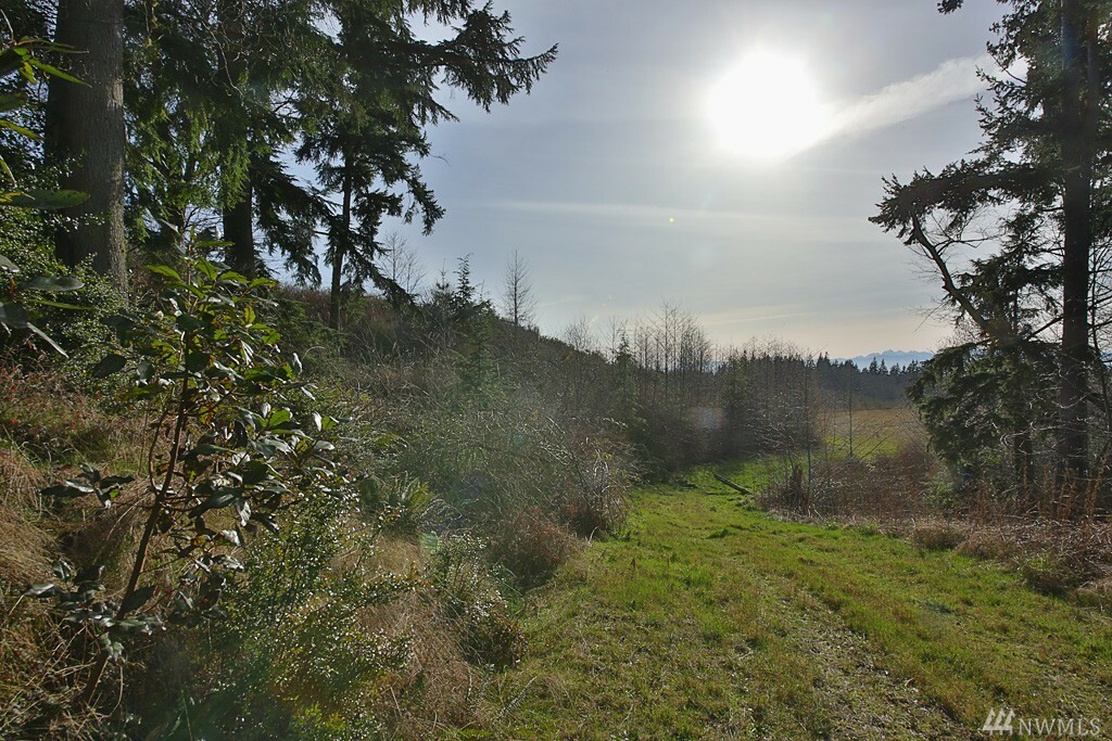 Property Photo:  0 Red Oak Lane  WA 98253 