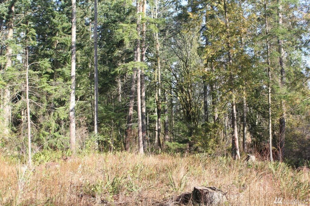 Property Photo:  0 Heart Lake Rd  WA 98221 